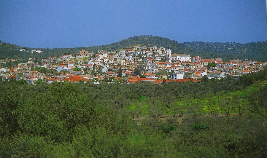 TOP