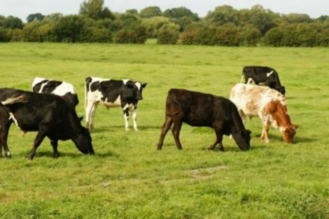 top